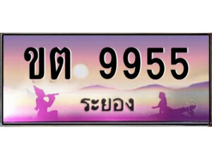 2.ทะเบียนสวยจังหวัดระยอง ขต 9955 เลขประมูล ทะเบียนรถใกล้ฉัน