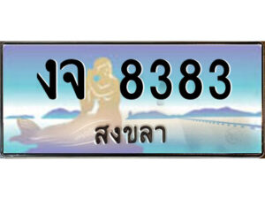 2.ทะเบียนสวยจังหวัดสงขลา งจ 8383 เลขประมูล ทะเบียนรถใกล้ฉัน